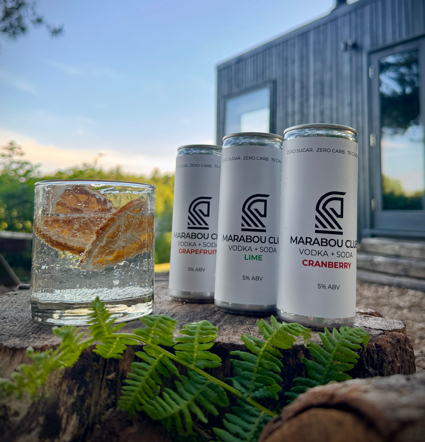 VODKA SODA MIXED PACK
