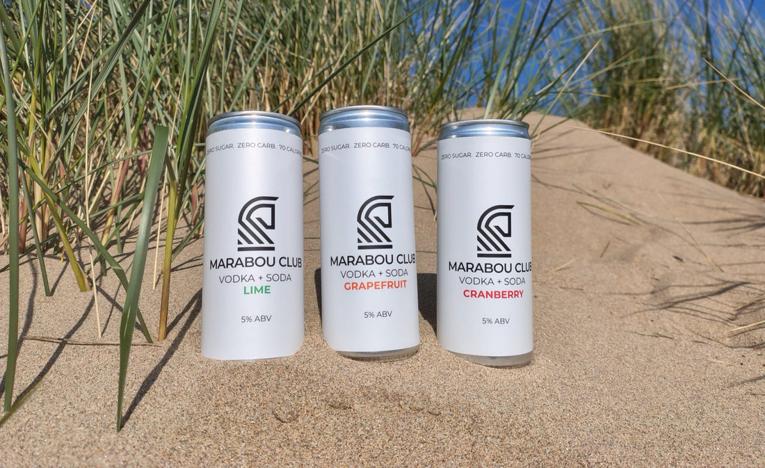 What is a Hard Seltzer? What is the Difference Between a Hard Seltzer vs a Canned Vodka Soda?